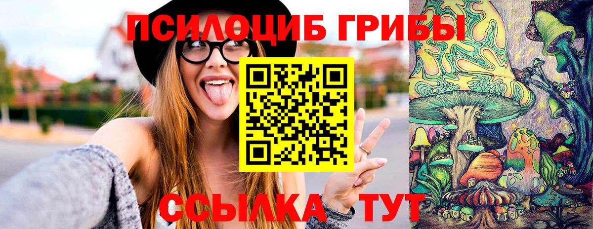 Дербент  где можно купить наркотик  Вход с VPN  Галлюциногенные грибы Psilocybe 